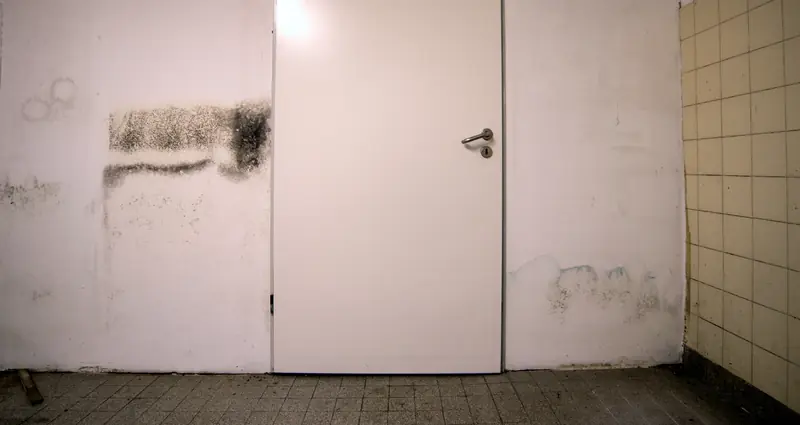 Schimmelbildung an einer feuchten Wand